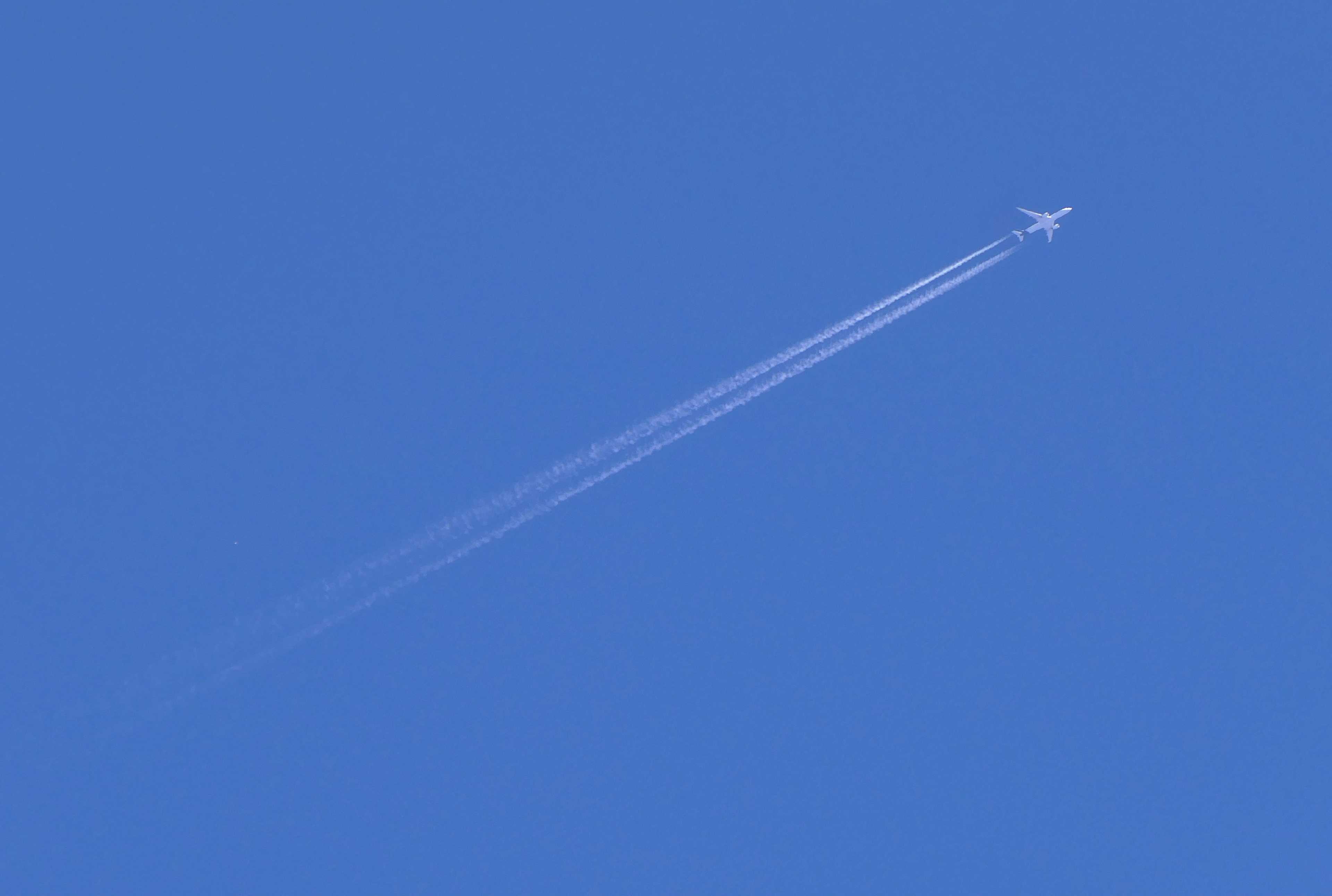 Image de couverture de l'article Comment créer une landing page efficace pour vos produits cosmétiques naturels