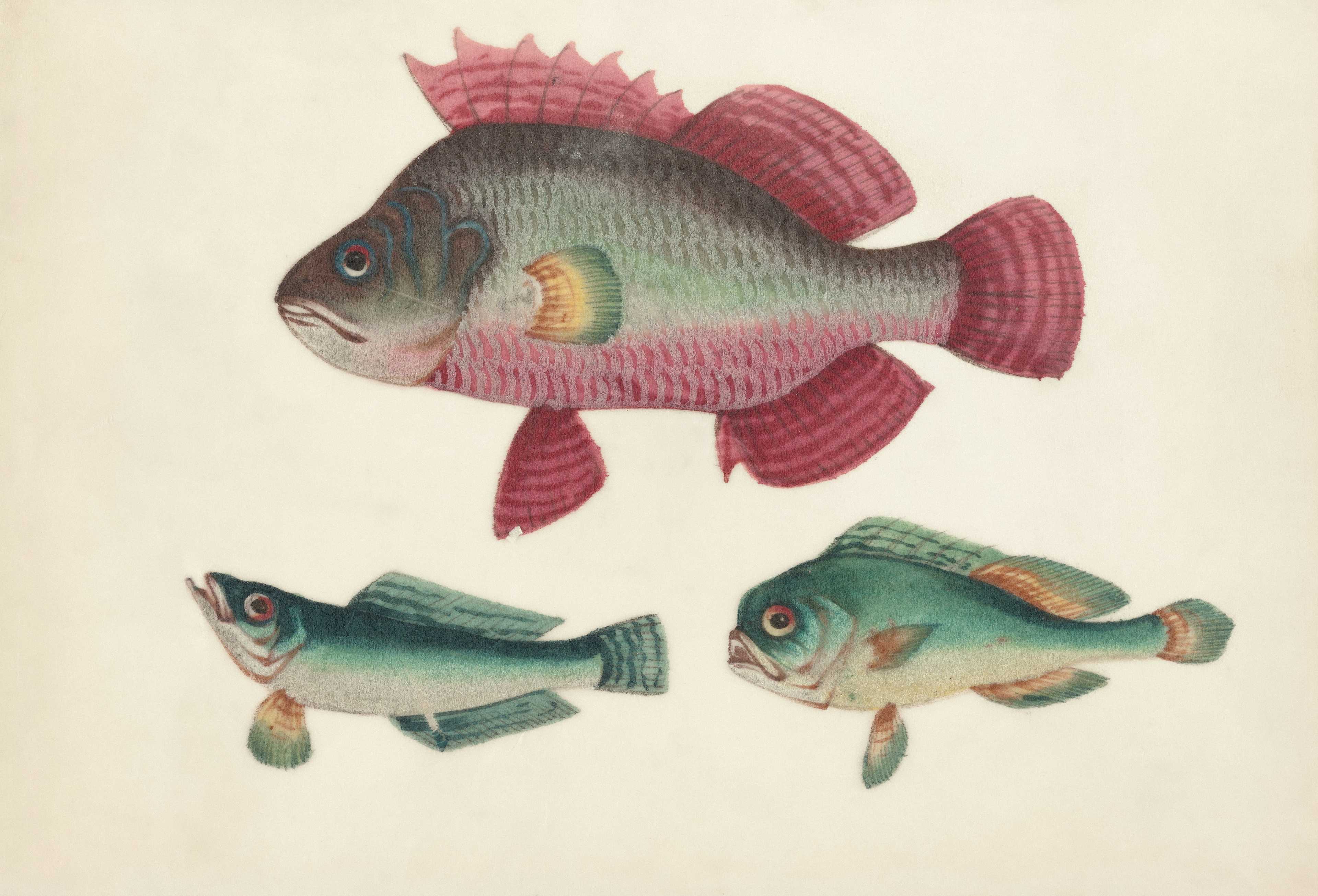 Image de couverture de l'article Optimisation UX/UI pour e-commerce : Comment transformer votre site en machine à conversion