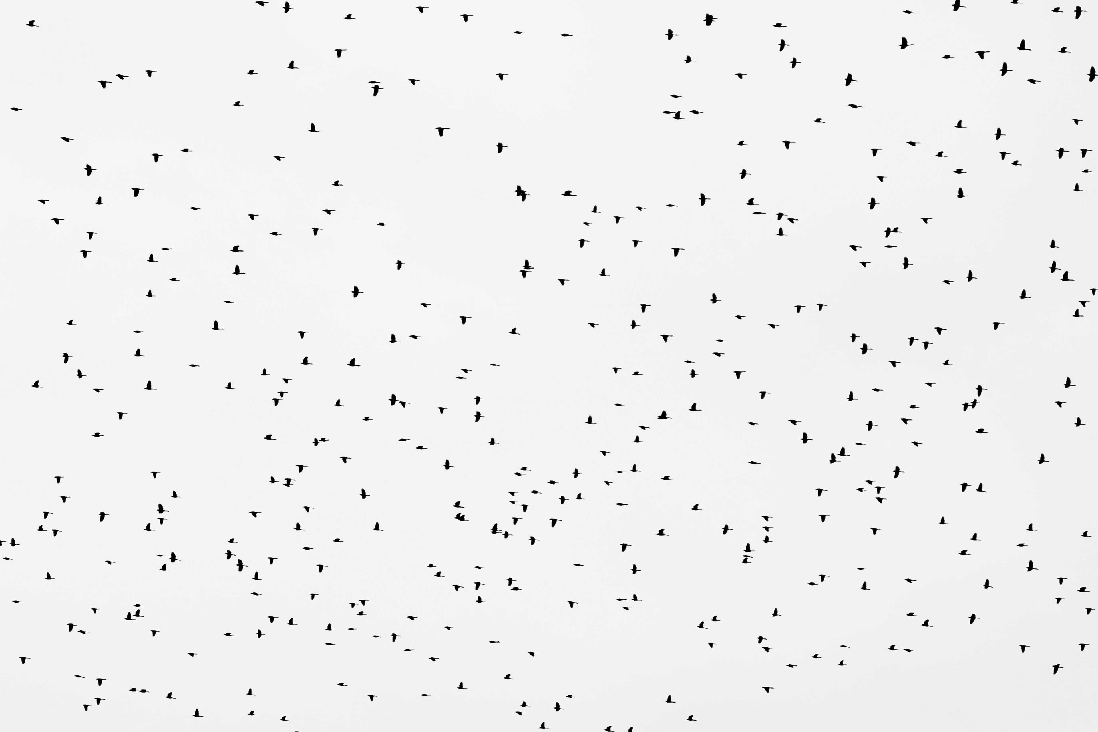 Image de couverture de l'article Résoudre les erreurs 404 sur WordPress : Guide complet pour restaurer vos liens brisés