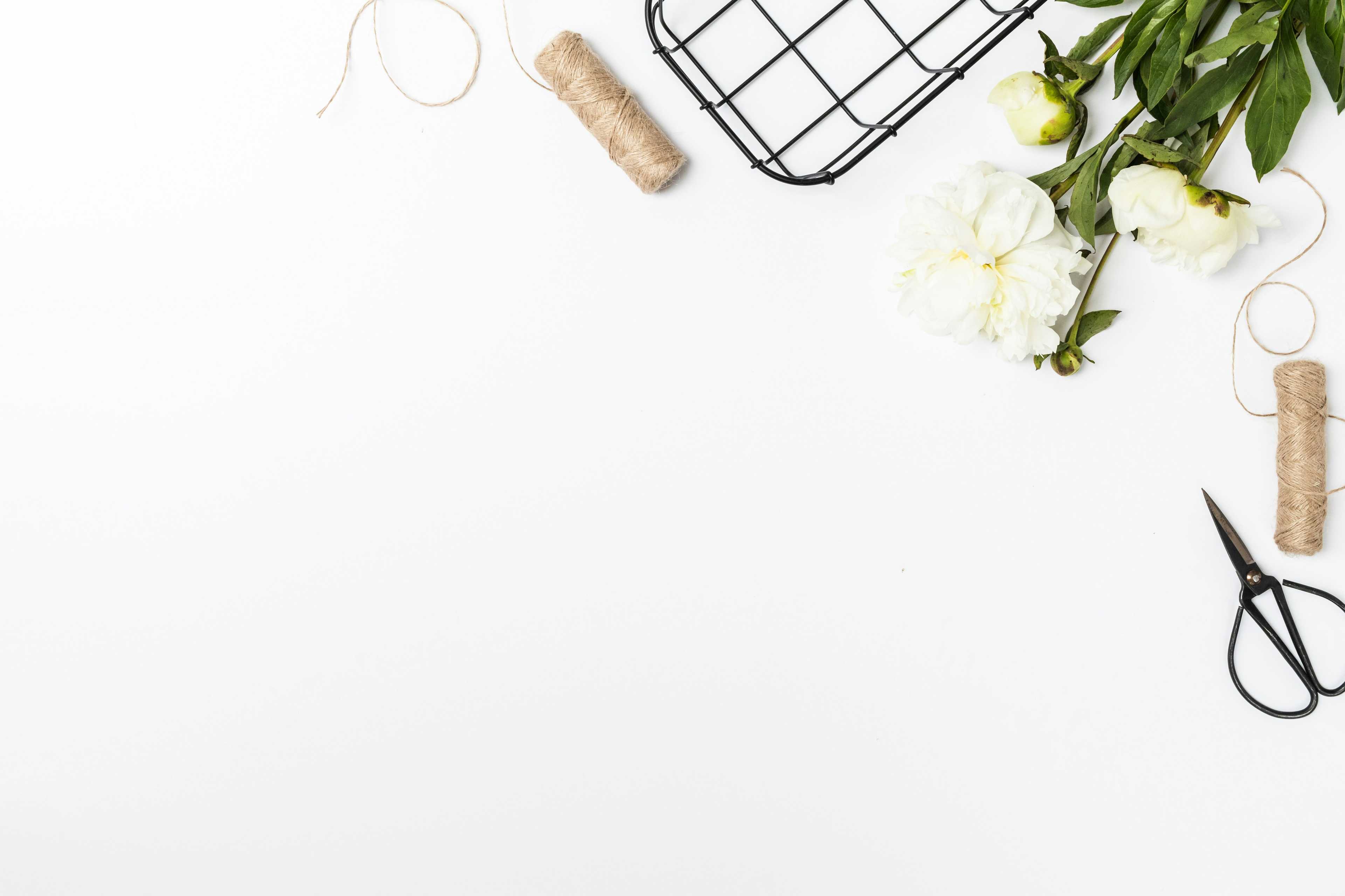 Image de couverture de l'article Shopify pour les monoproduits de bien-être : Stratégies pour maximiser conversions et SEO