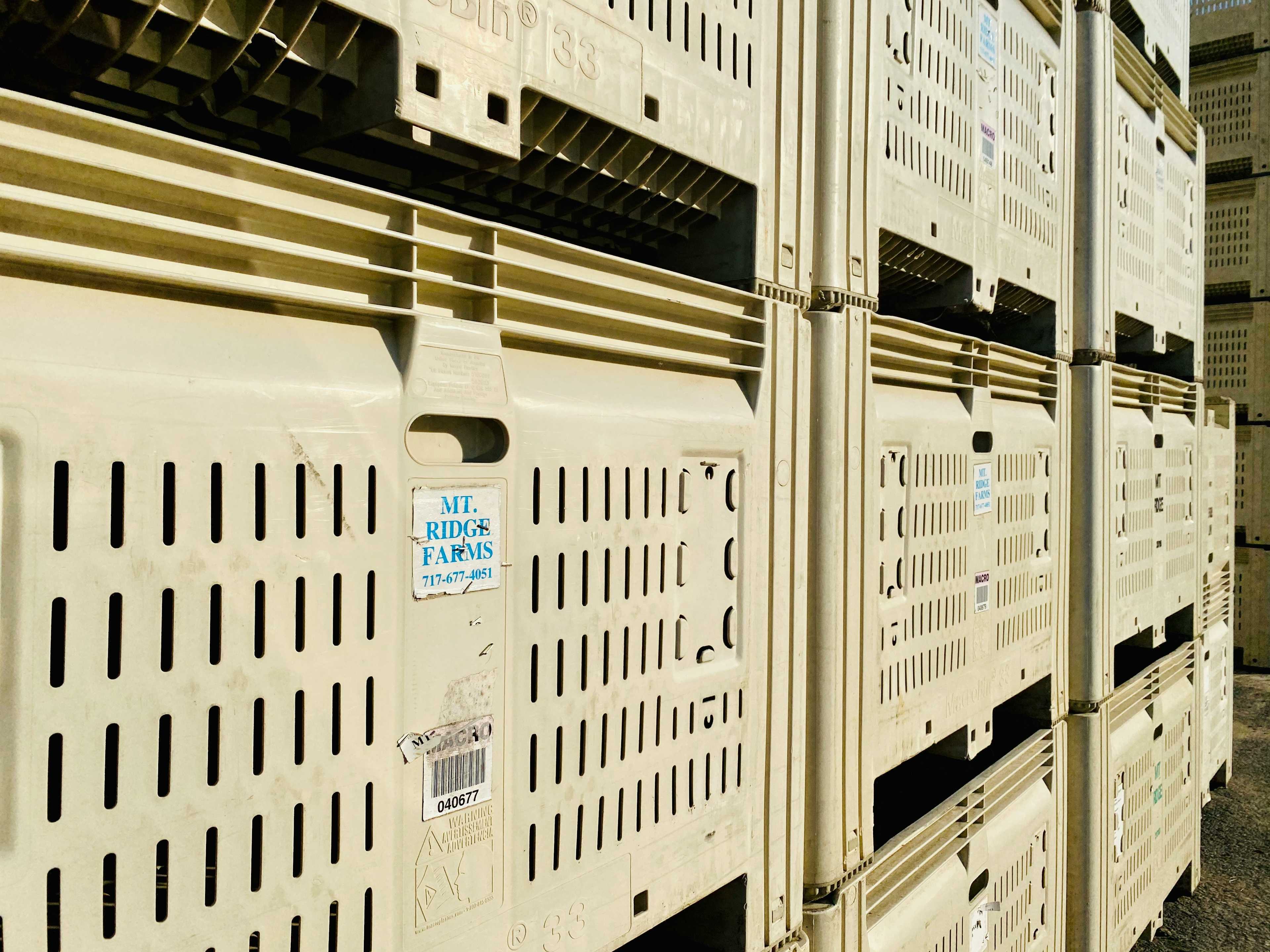 Image de couverture de l'article Optimiser votre infrastructure Docker avec NGINX et NPM : Guide pratique pour le multisite