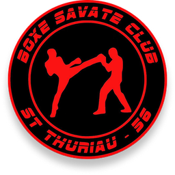 Logo BSC 56 - St Thuriau