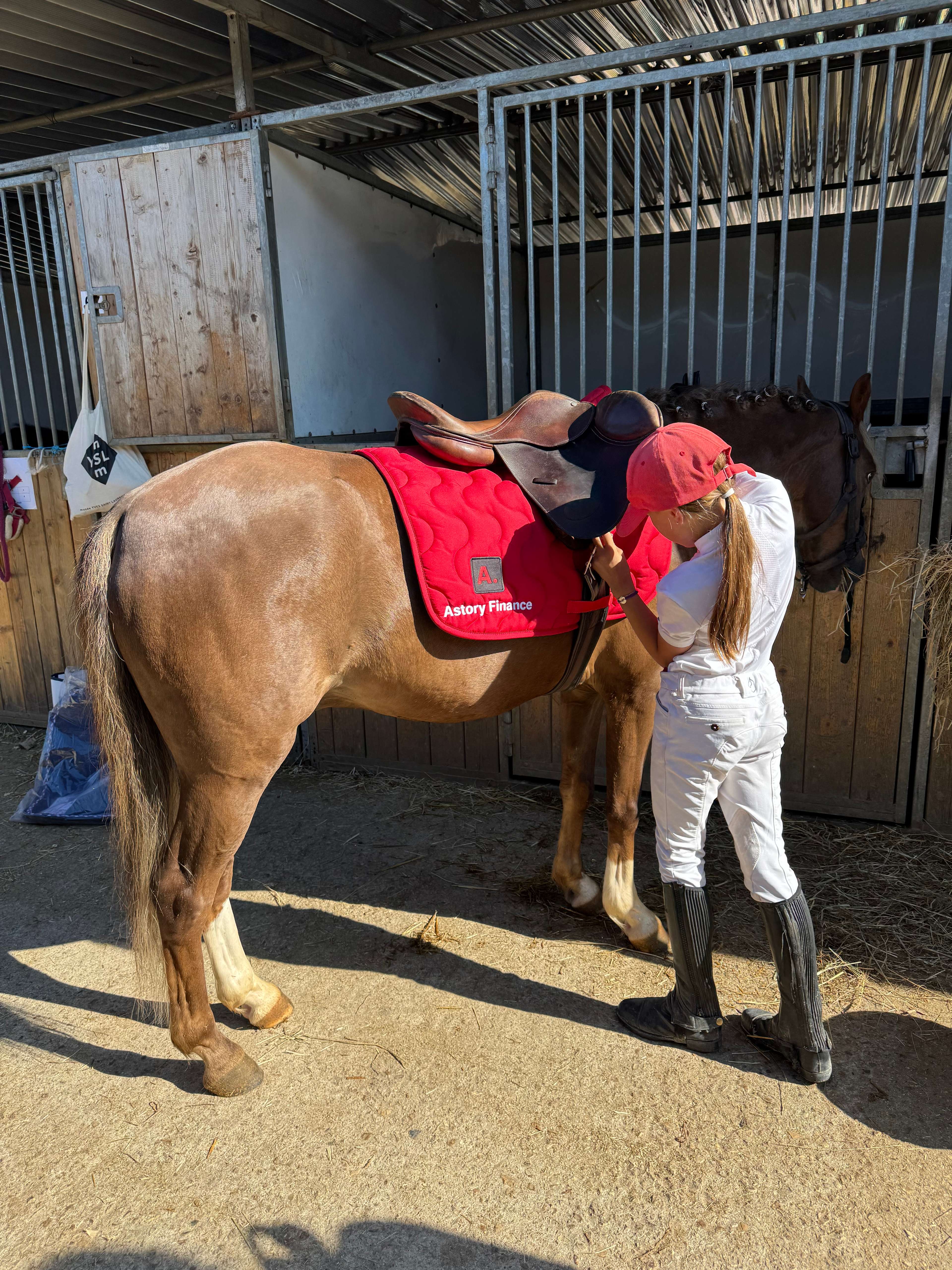 Compétition équestre