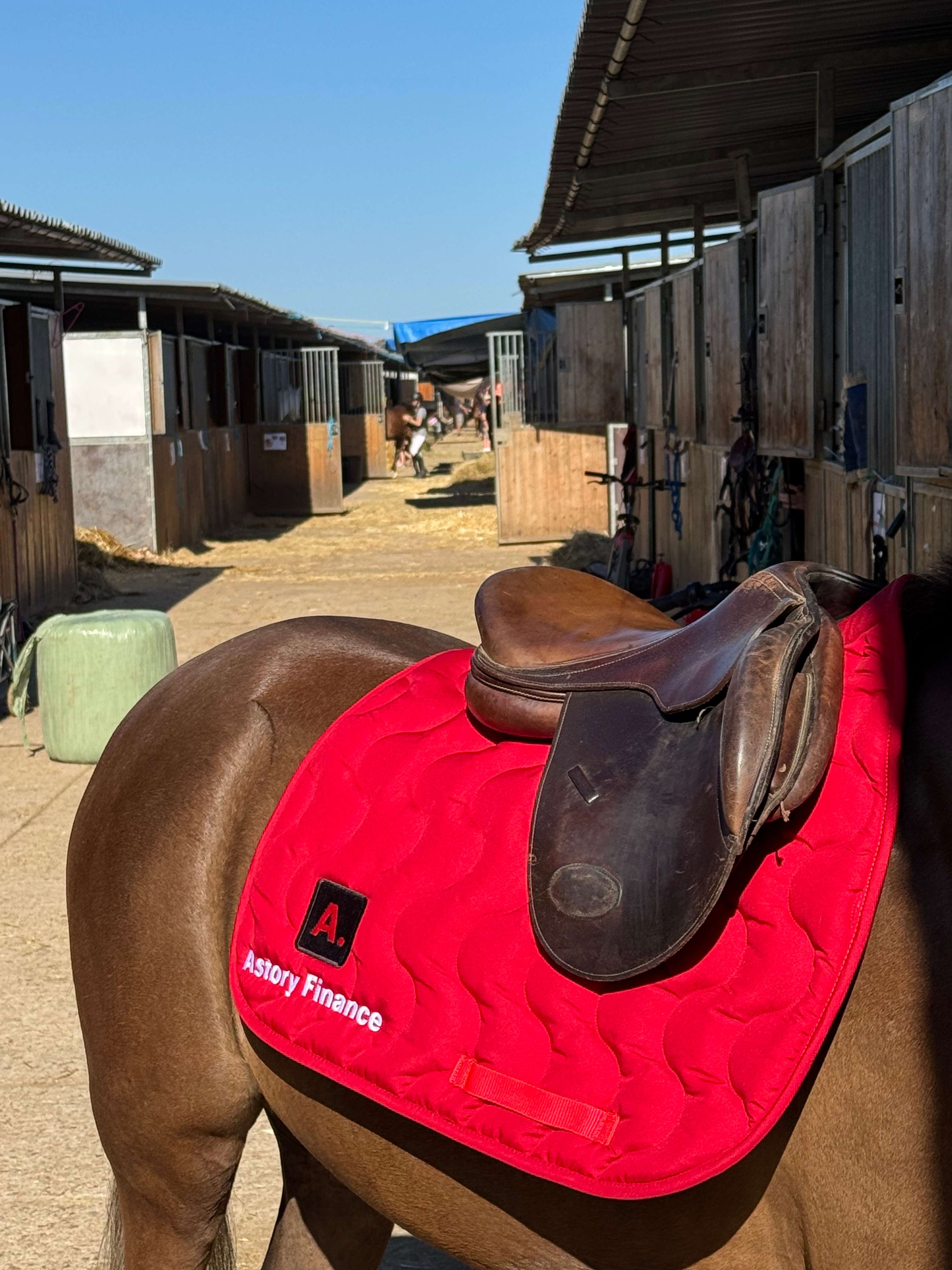 Communication et réseaux sociaux