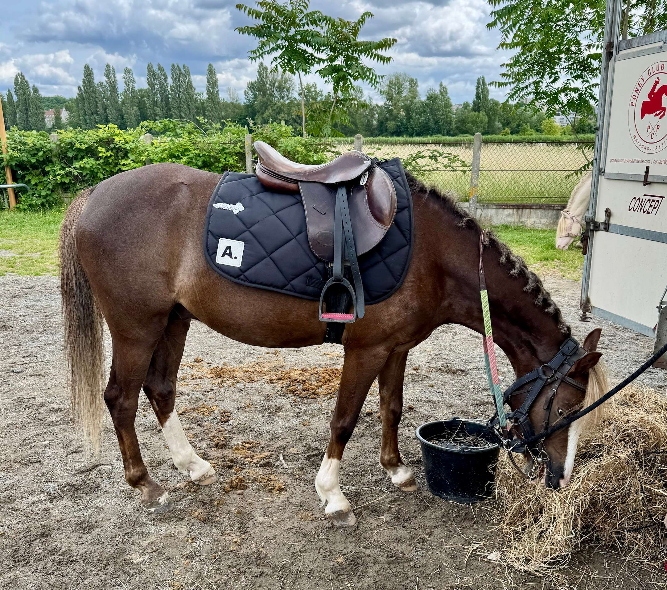 Transport et déplacements