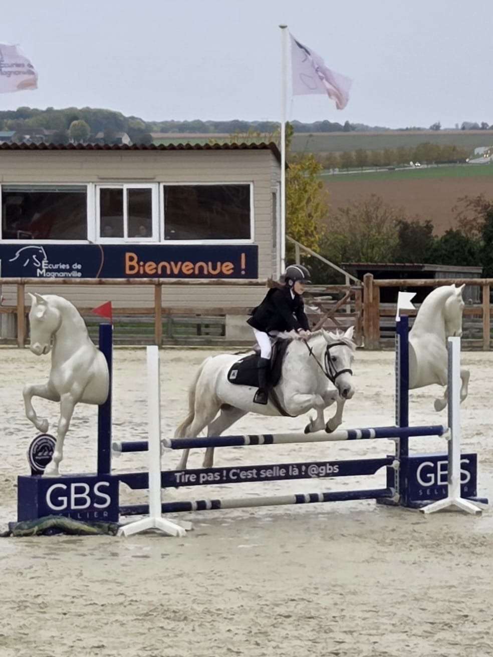 Saut de haie équestre