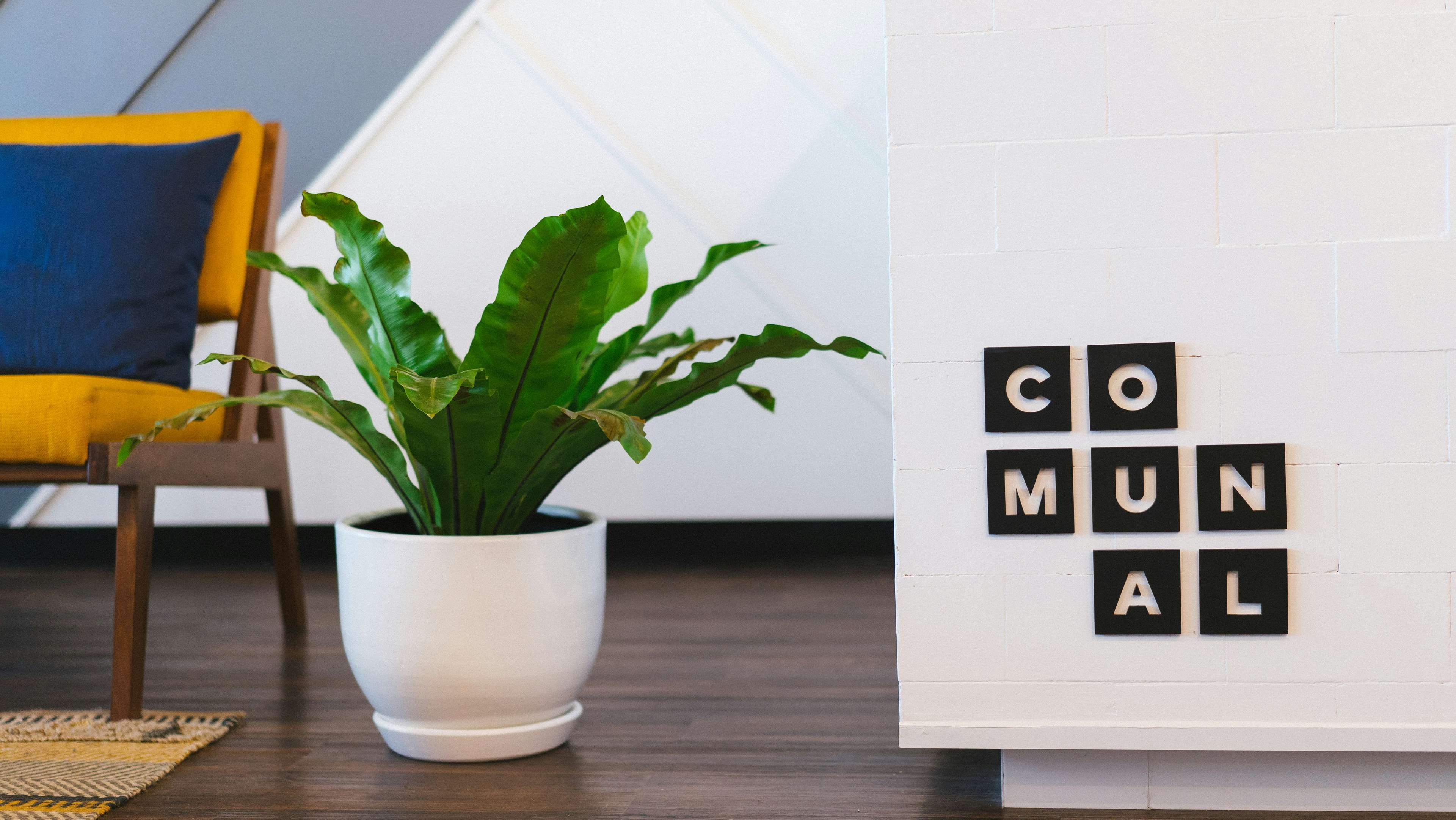 Module estimation en ligne wordpress.jpeg