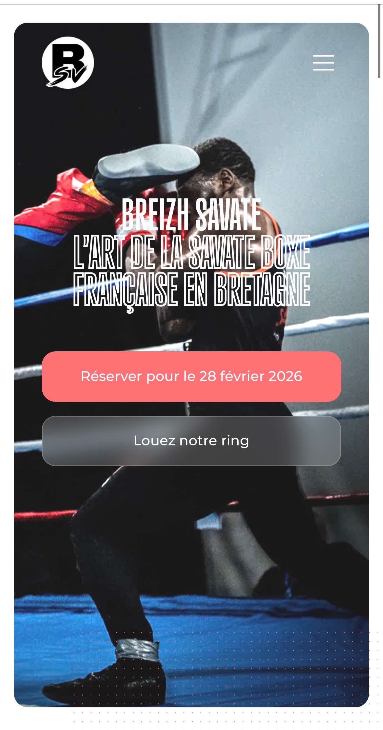 Image du projet Breizh Savate (4)
