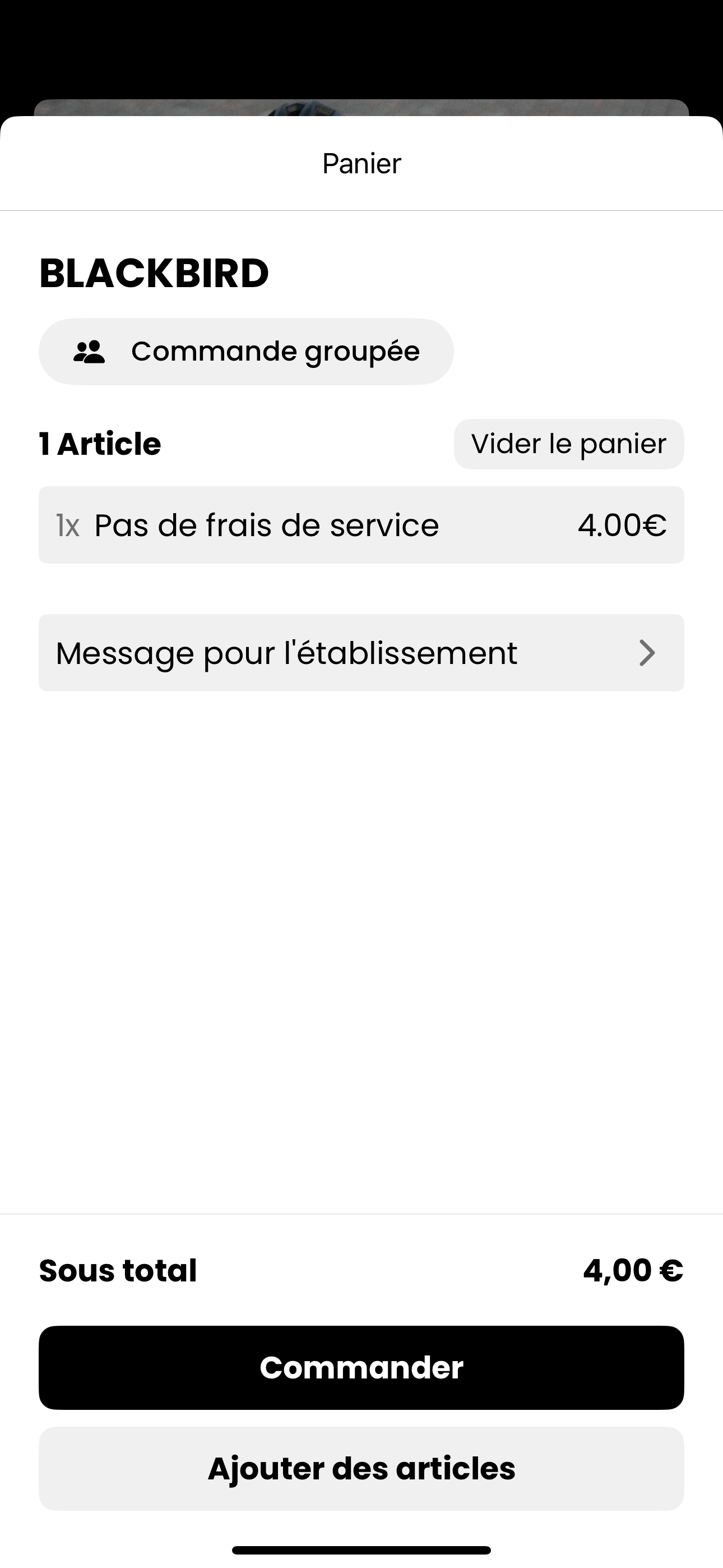 Image du projet Blackbird (4)