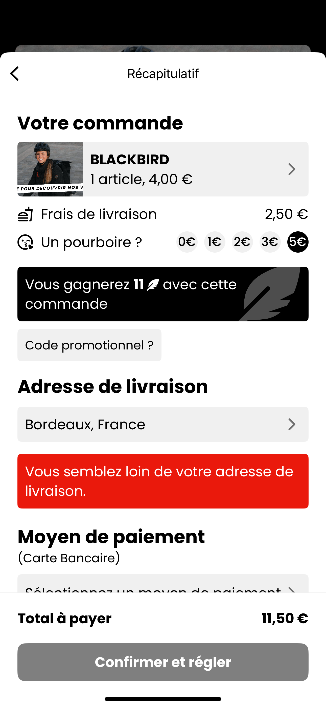 Image du projet Blackbird (5)