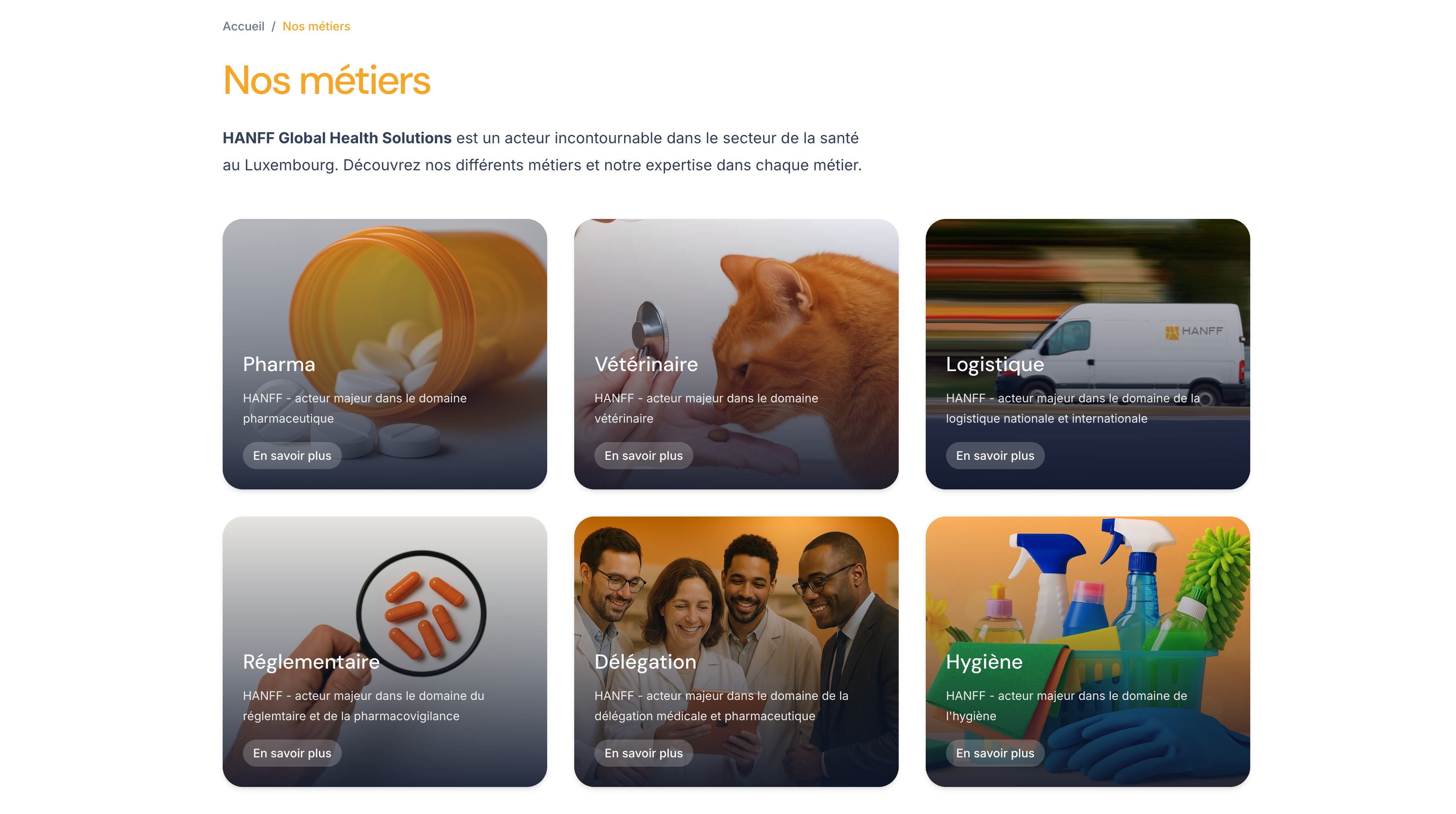 Image du projet Hanff (2)