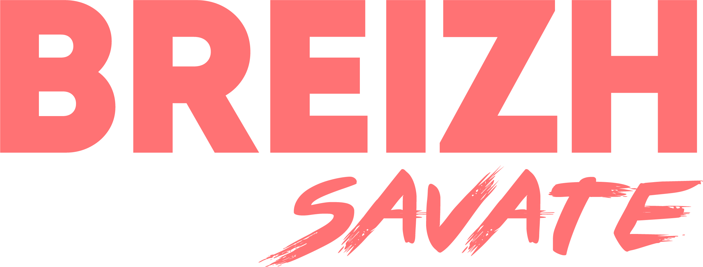 Logo de Breizh Savate