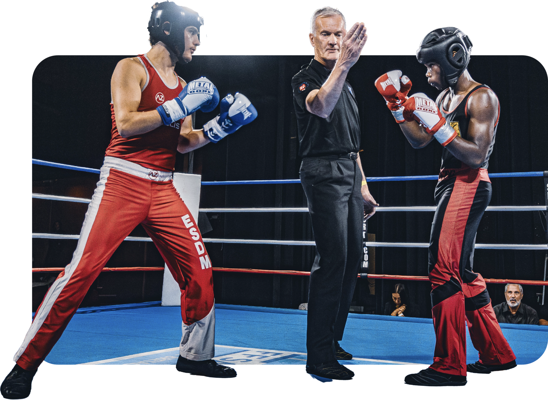 Breizh Savate