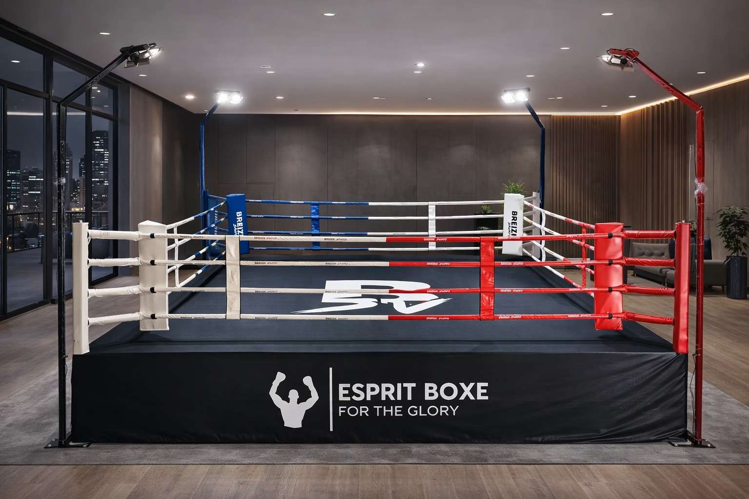 Ring de boxe professionnel