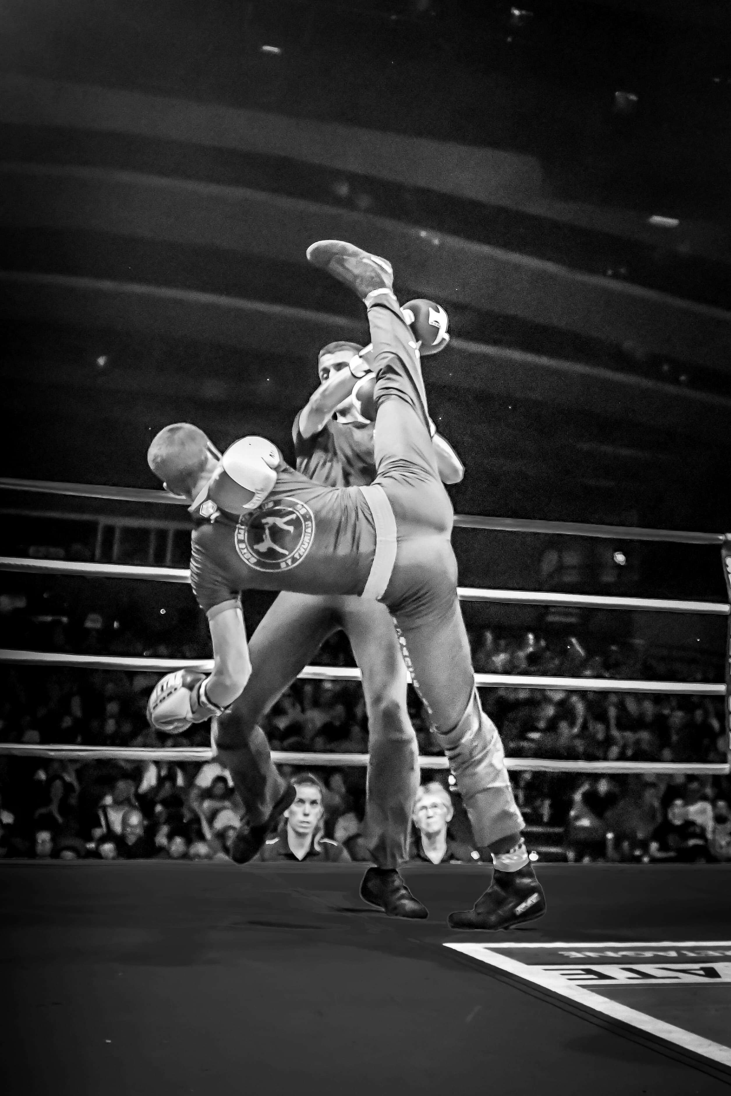 Breizh Savate Vol.1 - Bruno Guilbaut