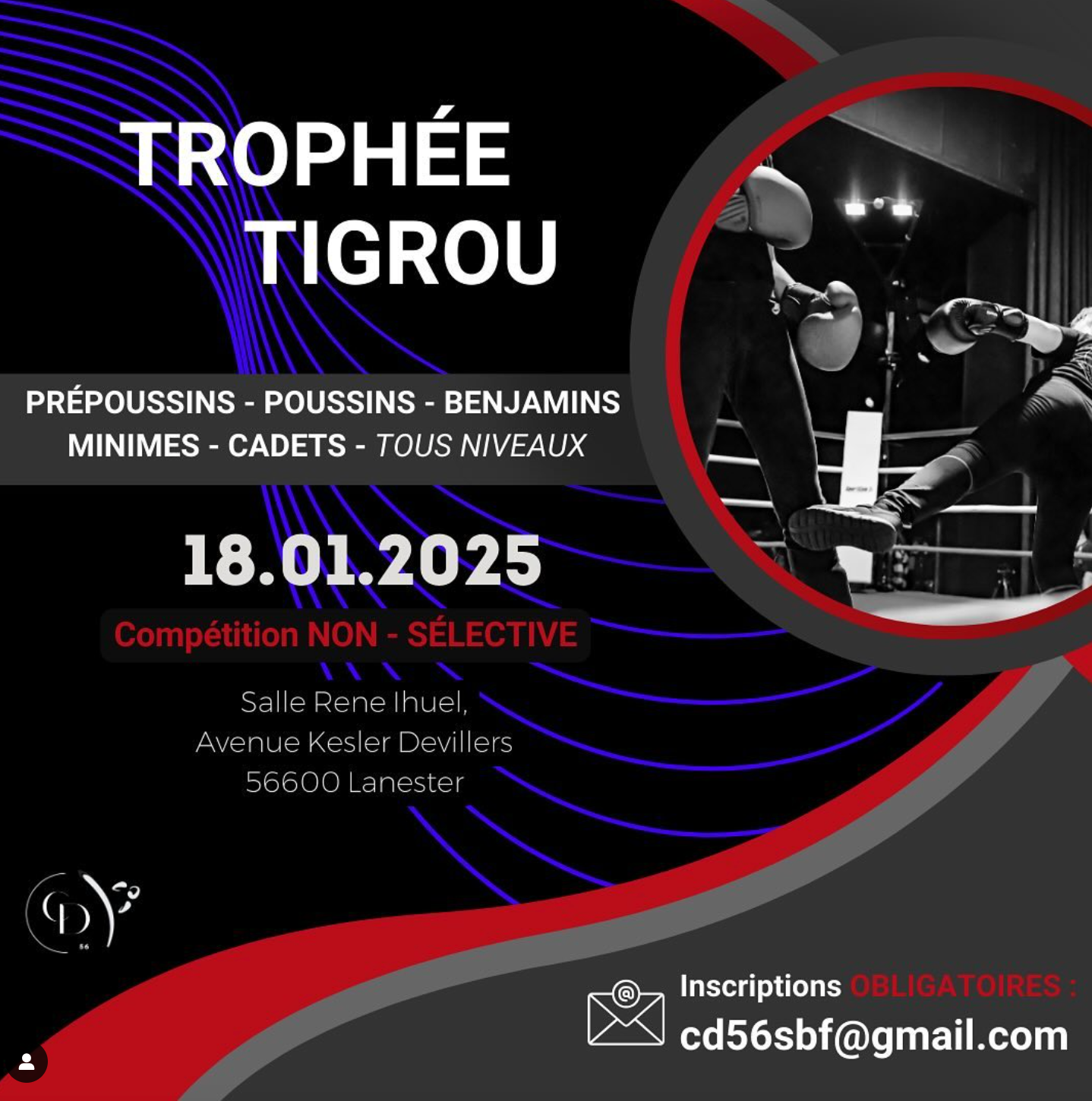 B- Photo article 2.png