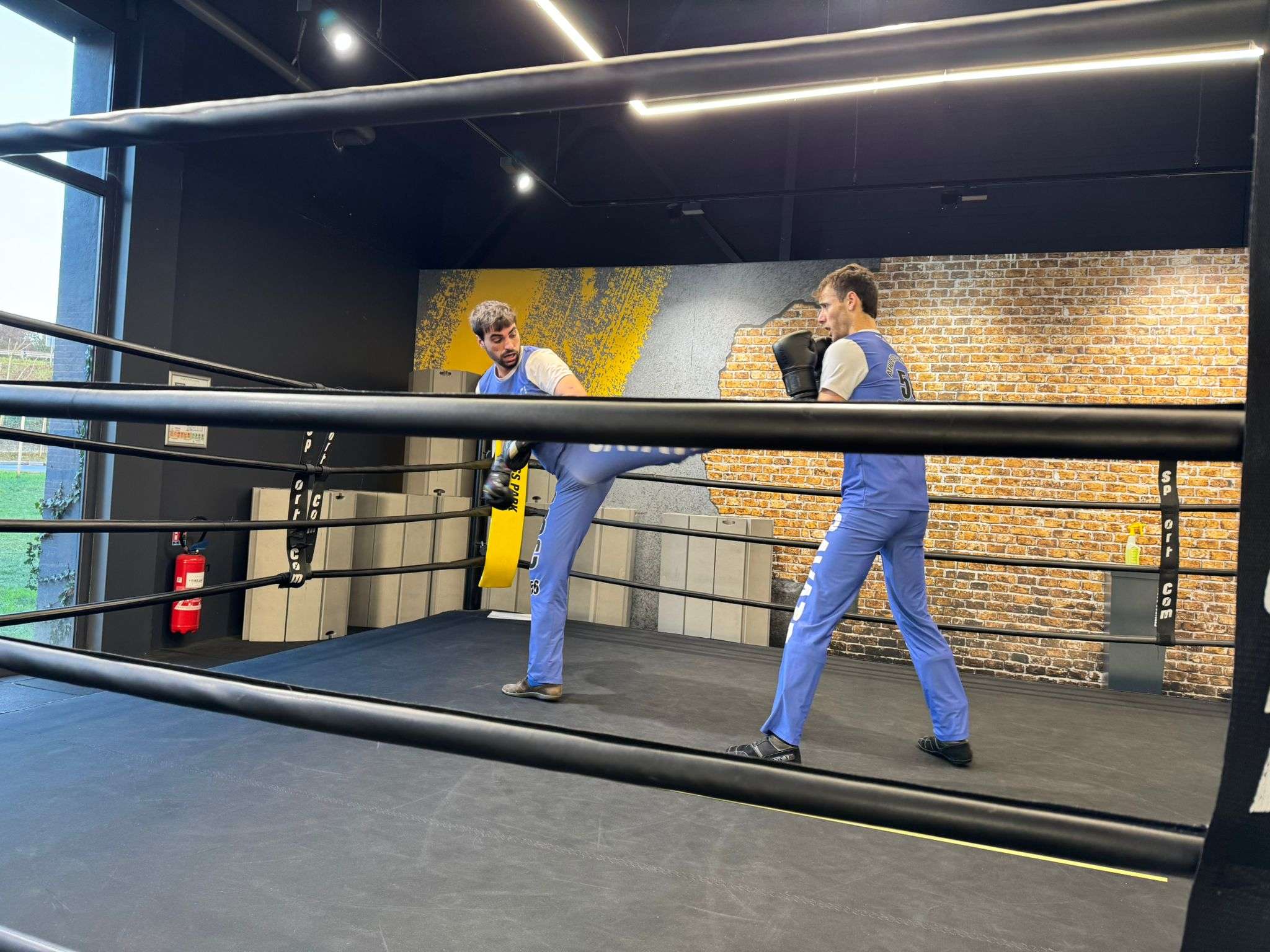 Photo 3 - Gant Jaune - Examen 2026