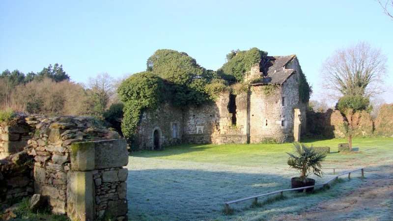 Bannière Marzan Boxing Club