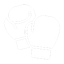 Savate Boxe Française icon