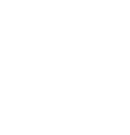 Inclusion