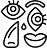 Choix de l’œuvre