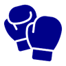 Savate Boxe Française