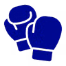 Savate Boxe Française